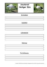 Steckbriefvorlage-Heiliger-Ibis.pdf